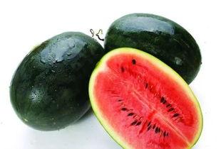 蓝奏云网红吃瓜