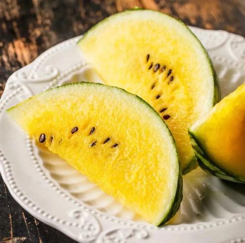 吃瓜学生网红东北