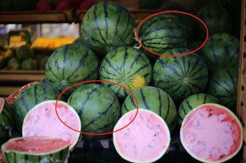 吃瓜学生网红东北