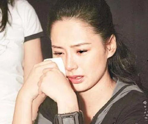 吃瓜明星网红圈道歉视频,揭秘娱乐圈风波背后的真相与反思