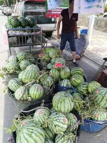 宜春网红吃瓜事件,揭秘网络舆论的风暴与真相