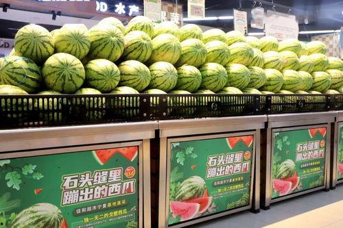 恒美吃瓜大赛官网,年度狂欢盛宴，瓜界风云再起