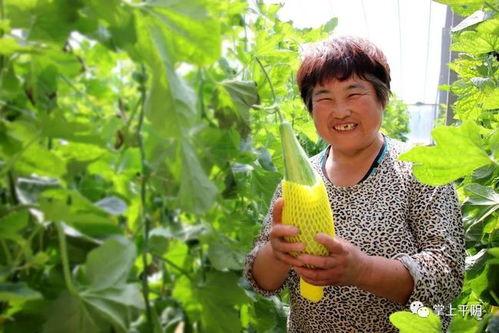 农村美女吃网红瓜,趣味横生的生活瞬间