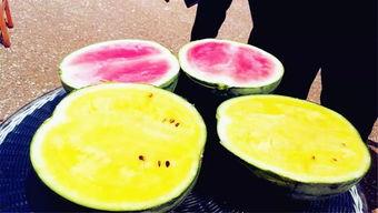 网爆吃瓜观看,揭秘热门事件背后的真相与笑料