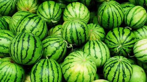 网爆吃瓜观看,揭秘热门事件背后的真相与笑料