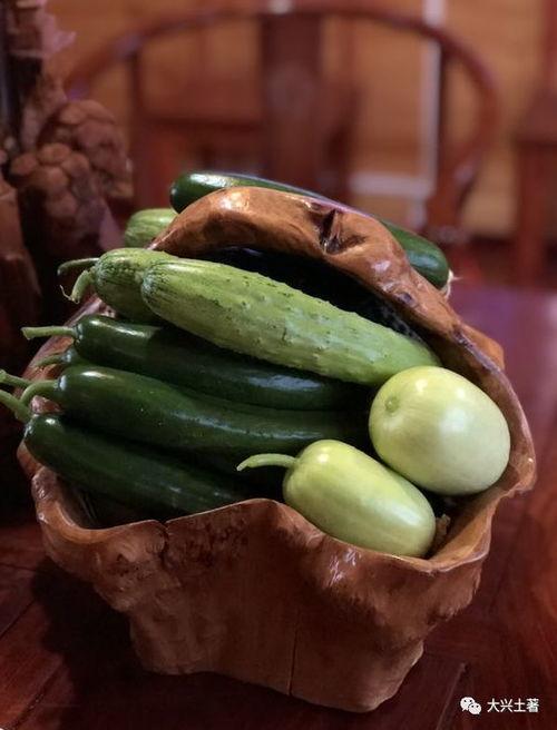 网红赵一菲吃瓜