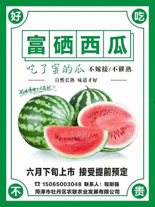 吃瓜网太卡