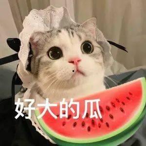 网红吃瓜照片全集高清视频
